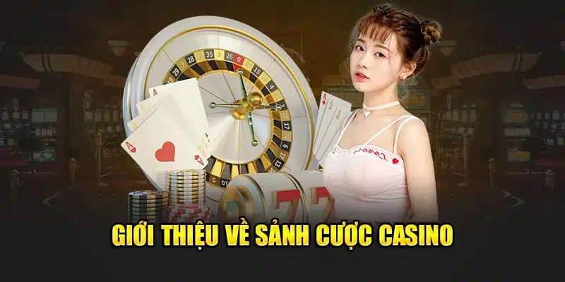 Giới Thiệu 77bet - Sân Chơi Uy Tín Hàng Đầu Châu Á